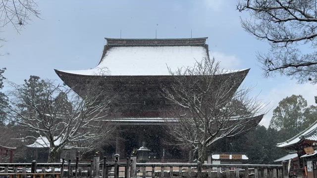 お久しぶりですの記事動画