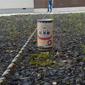 師匠の春休みのすごし方の画像