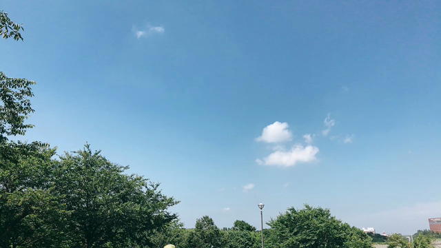吹く風の記事動画