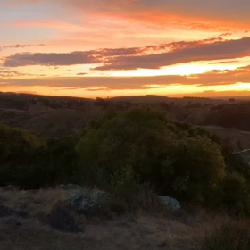 クライストチャーチの夕暮れ。の画像