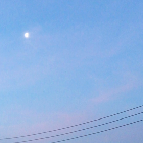 早朝の声の画像