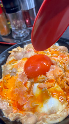 【飲む親子丼】ー動画ーの記事動画