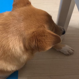 黒卵の呪いの画像