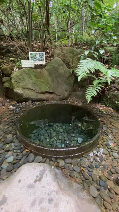 ゆっくりすること〜スローライフの記事動画