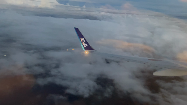 飛行機でのうれしい出会いたち。の記事動画