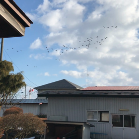 民泊やるんですか？の画像