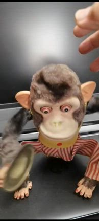 うるさすぎるわんぱくスージーの記事動画