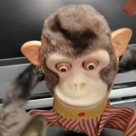 うるさすぎるわんぱくスージーの画像