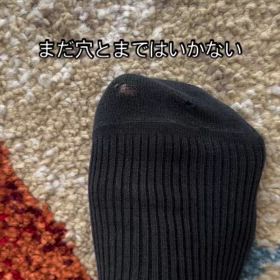 2025/04/09の画像
