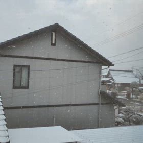 恨めしい雪の画像