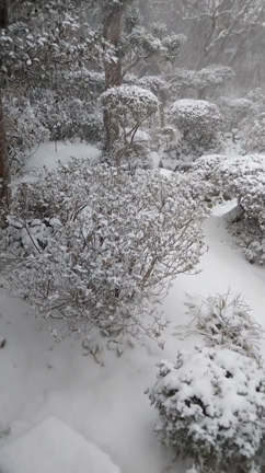 吹雪キタの記事動画
