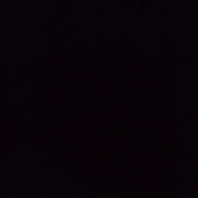 ホタルの画像