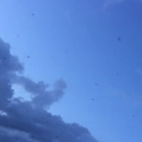 自由にの画像