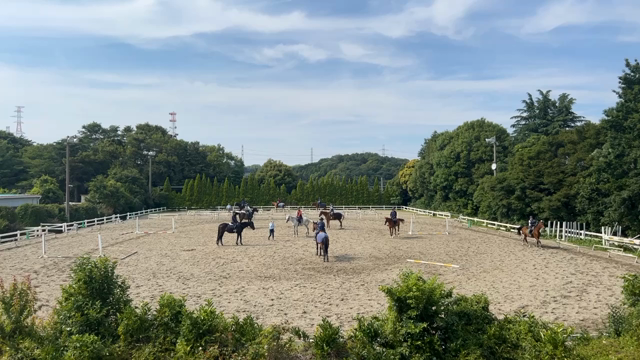 本能にまたがる経験！！の記事動画