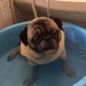 打たせ湯の画像