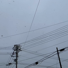 雪がの画像