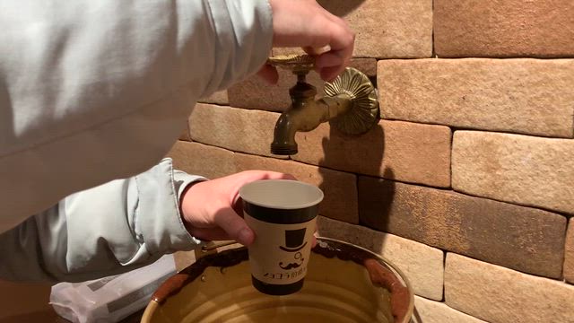 ハウステンボス旅行〜1日目:初ハウステンボス！の記事動画