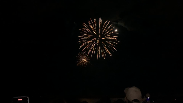 神奈川旅行〜1日目:茅ヶ崎サザン芸術花火の記事動画