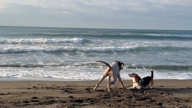 ２月１４日（土）の記事動画