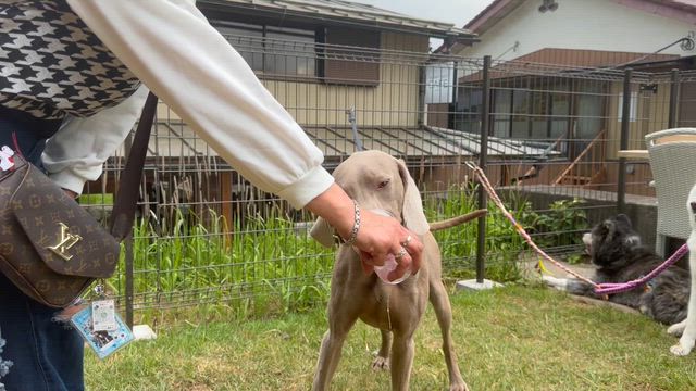５月１７日（日）の記事動画