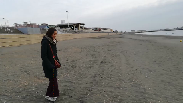 すごい事が起こった！の記事動画