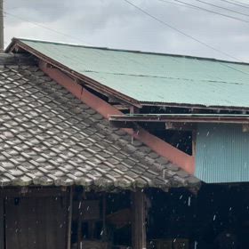 初雪です。の画像