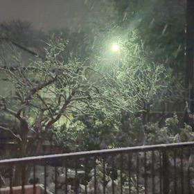雪が降っています。の画像