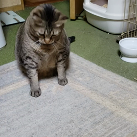 Facebookでの画像