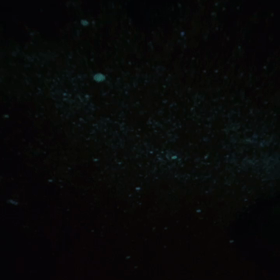 2019/06/06の画像