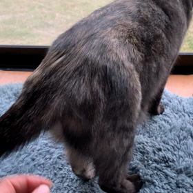 宴の次の朝の画像