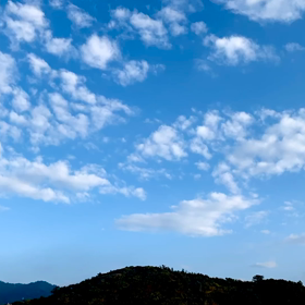 朝さんぽの画像
