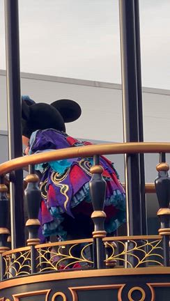 【お友達とディズニーランド】ミニーちゃぁぁぁあん⁉️振り向かないミニたん！の記事動画