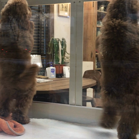 タウンウォッチングの画像