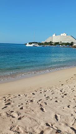 沖縄ー❕の記事動画