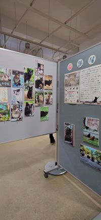 「地域猫マルシェ」を開催しましたの記事動画