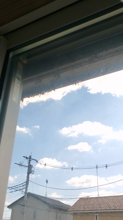 蜂の巣退治　バズーカで行けるのか　パパがんばれ！の記事動画