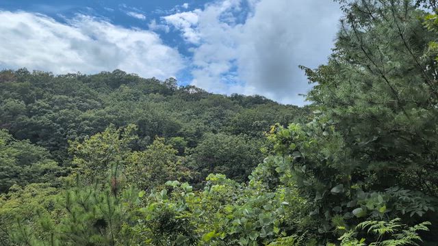 雨の公園〜明日天気になぁれの記事動画