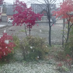 岩見沢は牡丹雪の画像