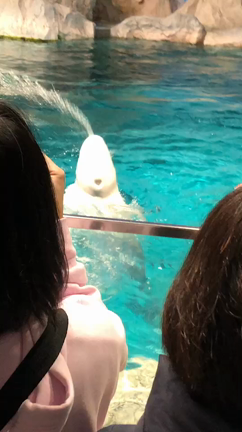 久しぶりの名古屋港水族館！の記事動画