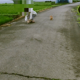 九州豪雨で去年の緊急避難思い出しました！の画像