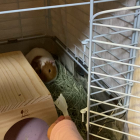 だいぶ慣れたね！の画像