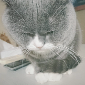 2月☆の画像