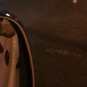 道路に何かがの画像