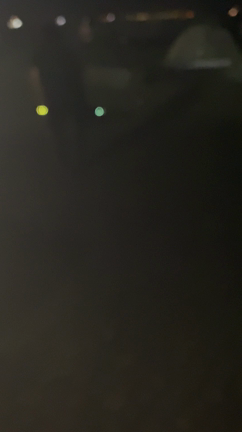 猫祭りじゃー！の記事動画