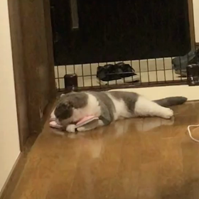 自分の頭蹴り蹴りの画像
