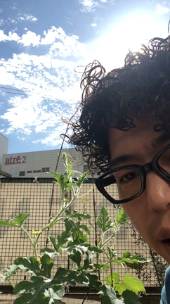 お店のベランダライフの記事動画