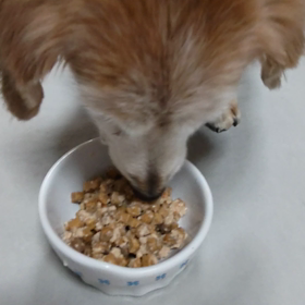 ご飯の画像