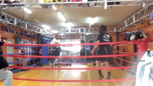 出稽古の記事動画