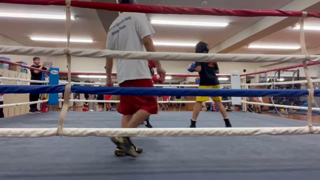 アンダージュニア合宿の記事動画