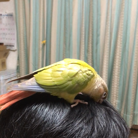 休日の画像